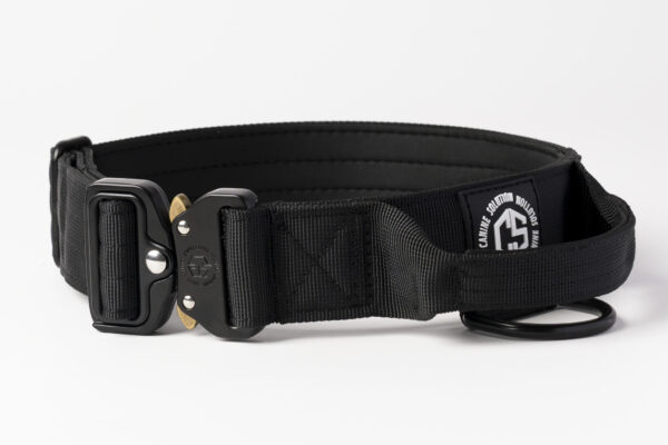 Collare con maniglia nera